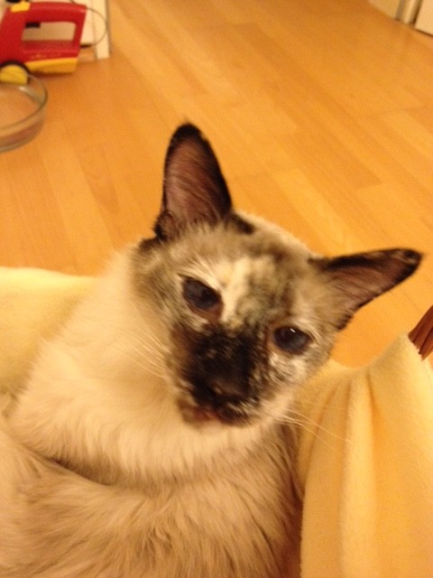 Mein unvergessenes Bezilein