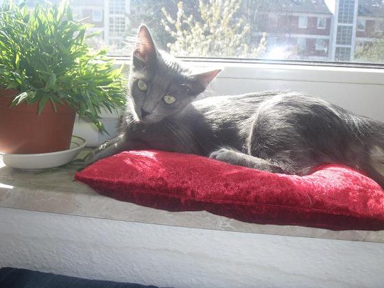 Meine kleine Bryana :-)