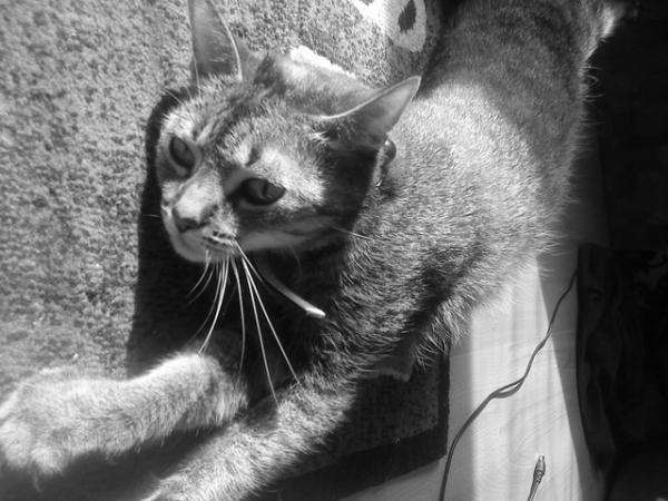 Meine "Große" liebhab