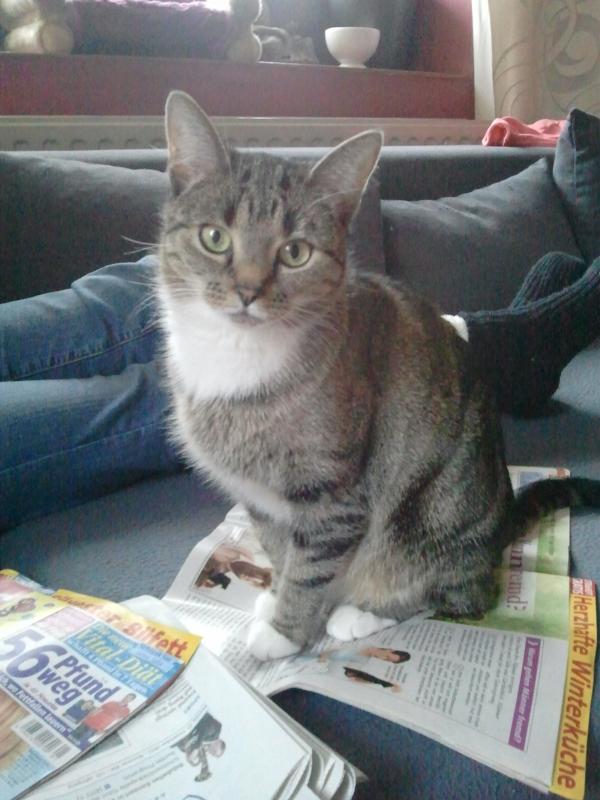 meine schöne "Bella"