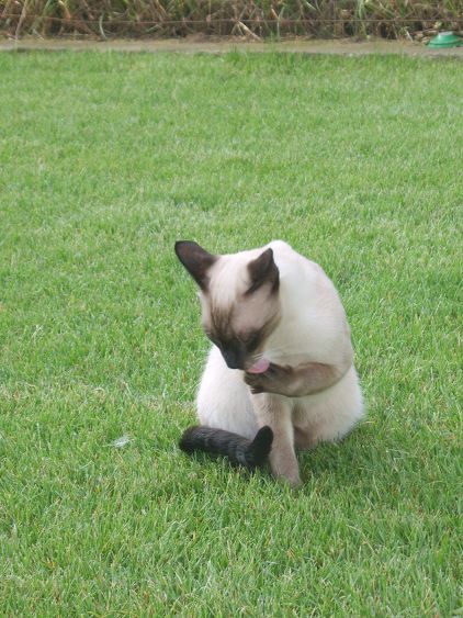 meine süße kleine Maus *flirt*