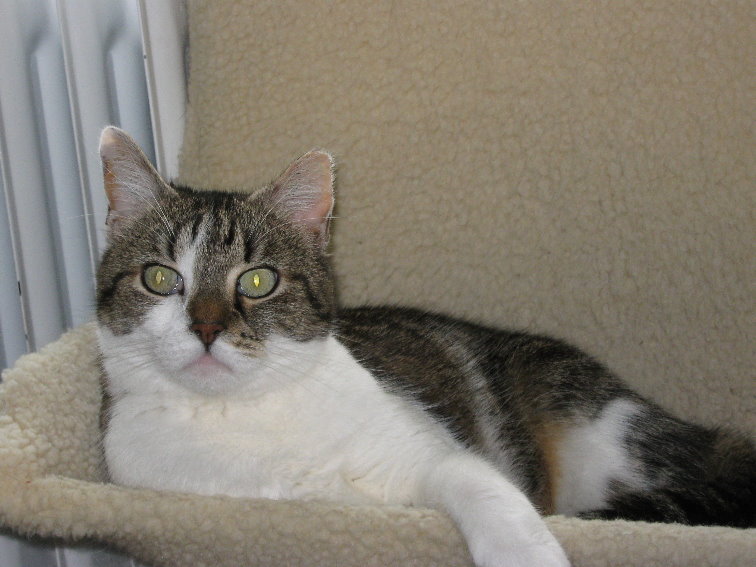 Meine unvergessene Tobi-Dame