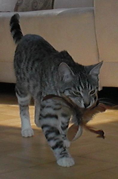 meins, meins!!!!!!!!!