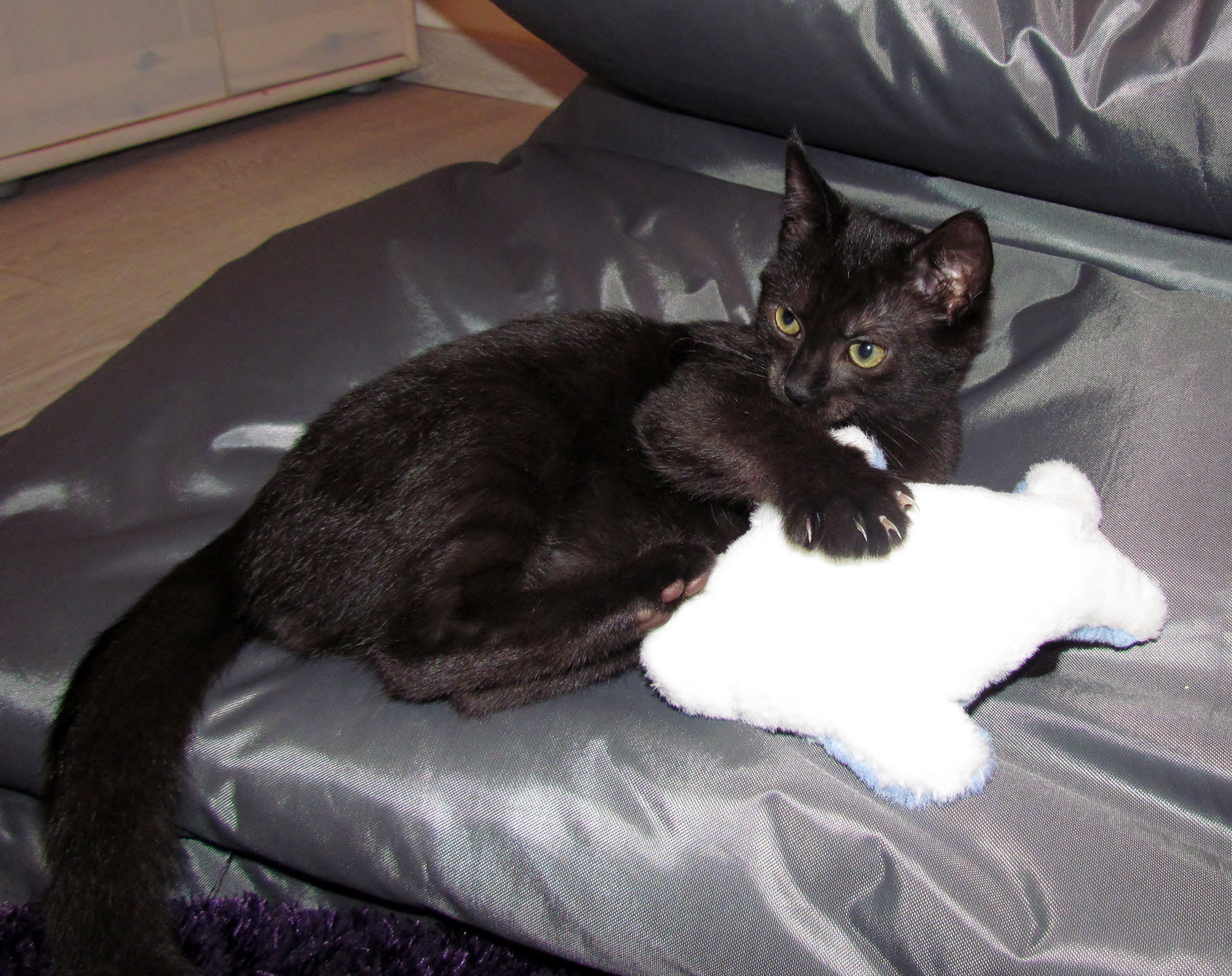 MEINS !!!!!!!!!!!!!!!!