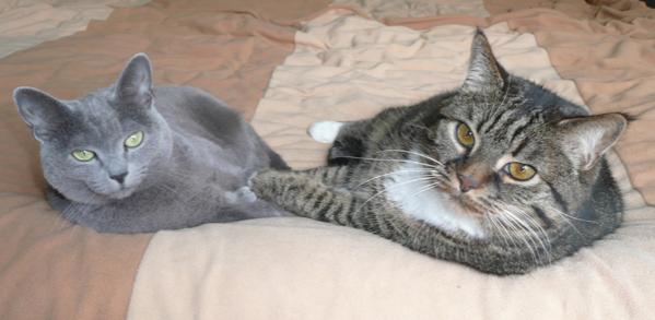 Mia &amp; Eule friedlich vereint