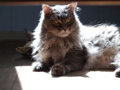 Mijou meine süsse Zaubermaus.