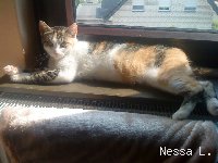 Minka enspannt sich in der sonne