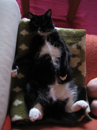 Missy kann Luftgitarre