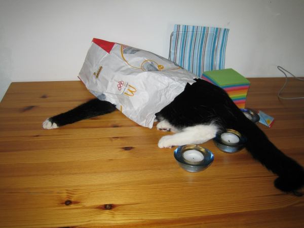 Missy mag Cheeseburger