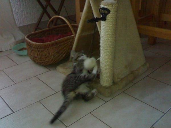 mit 2 Monaten beim Spielen