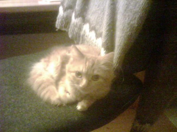 Mittlerweile ist sie schon etwas größer...unser Riesenbaby ;)