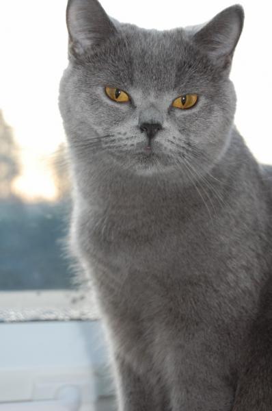 mmmhhh geht es mir gut;-))))