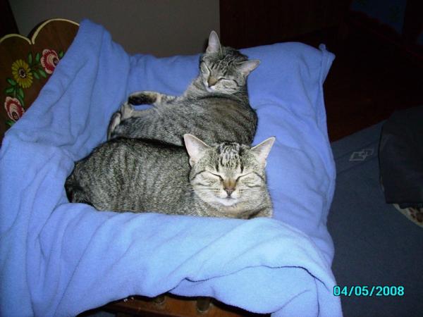 Mona und Lisa 2.08 009