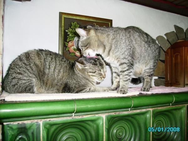 Mona und Lisa 2.08 017