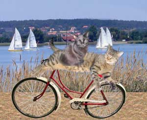 Moppel und DJ auf großer Tour