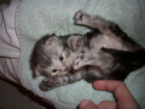 Moritz
Unser kurzzeitiges Sorgenkind.