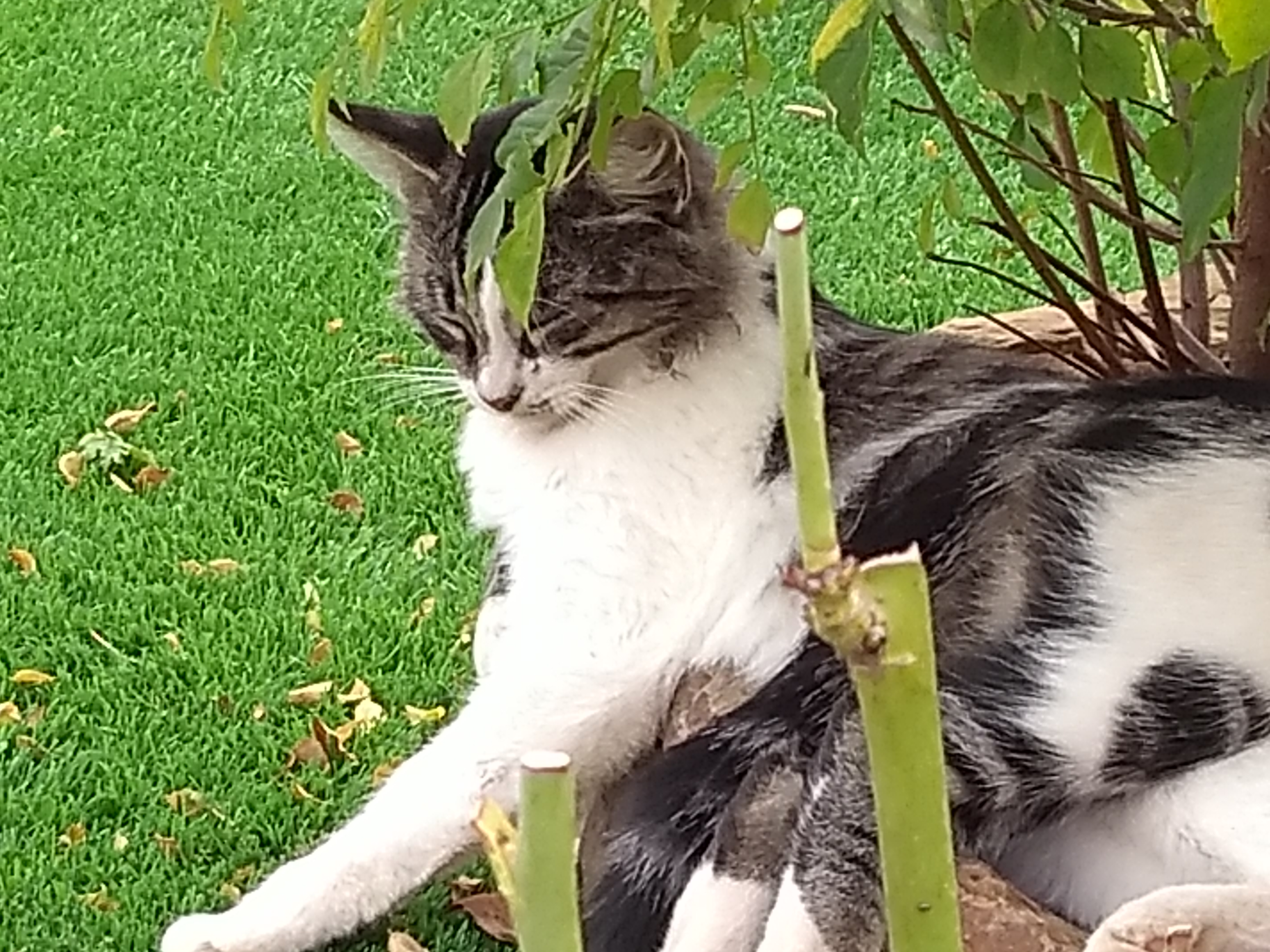 Motzi am vorletzten Tag