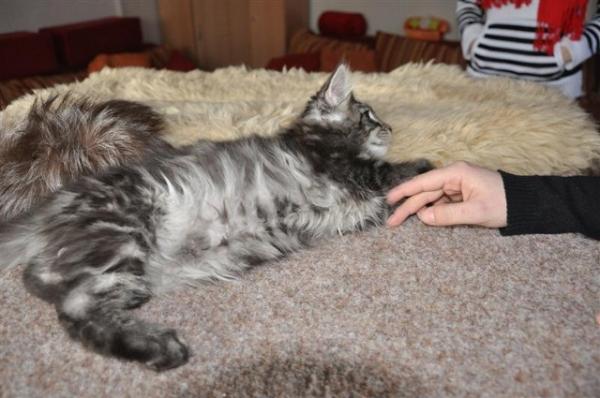 Mr.NoName macht sich lang...Hier haben wir ihn abgeholt und der Kleine hatte noch keinen Namen.