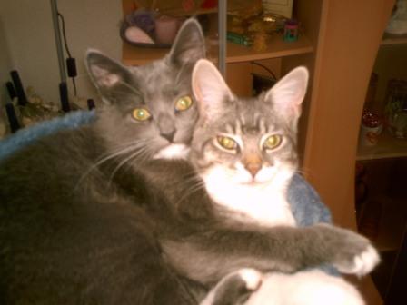 Muss Liebe schön sein :-)