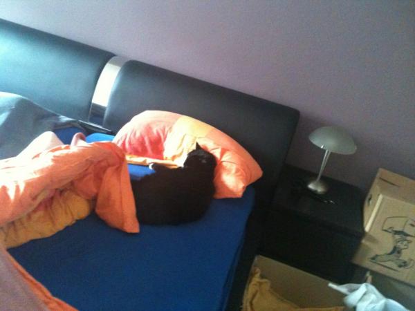 Na fehlt nur noch die Decke lol