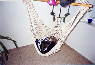 Na jemanden entdeckt?