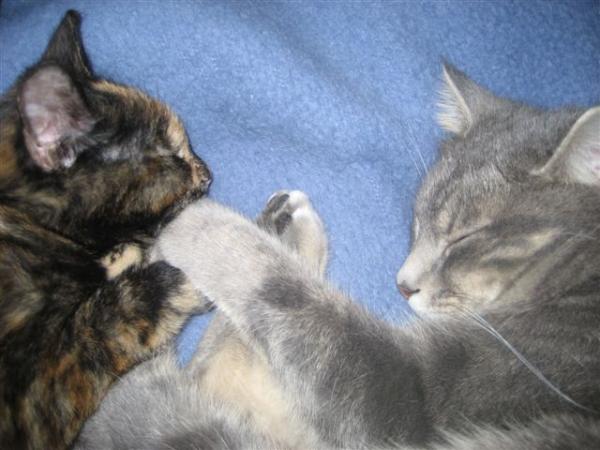 Nach anfänglichem Zickenkrieg ist jetzt alles gut.