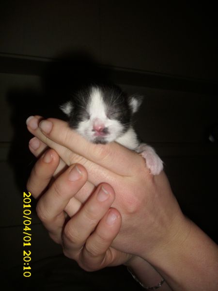 nach so schönen Pobildern auch mal der, die Süße von vorn