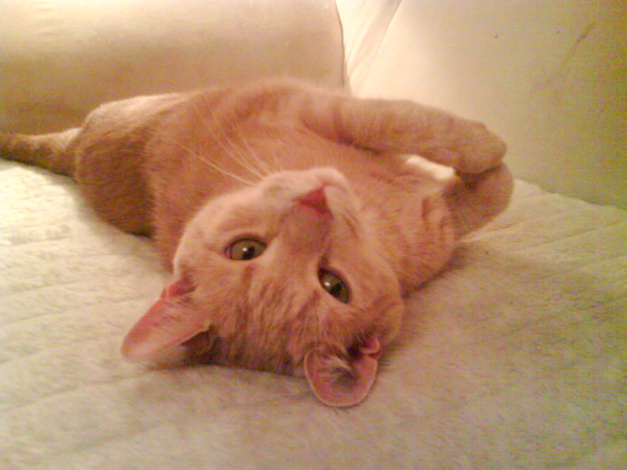 Nachdem die kleine eingezogen ist