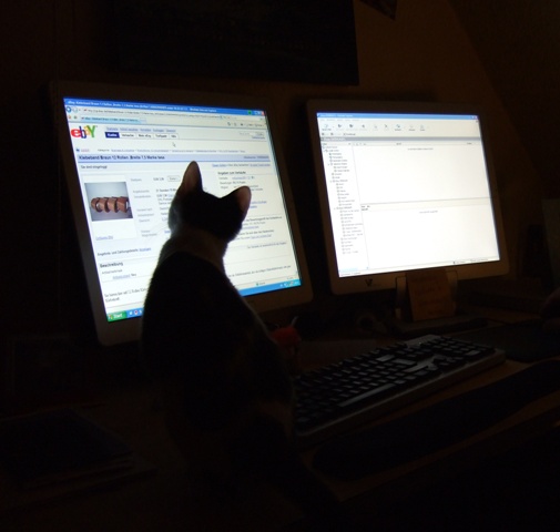 Nachts sind alle Katzen grau ...