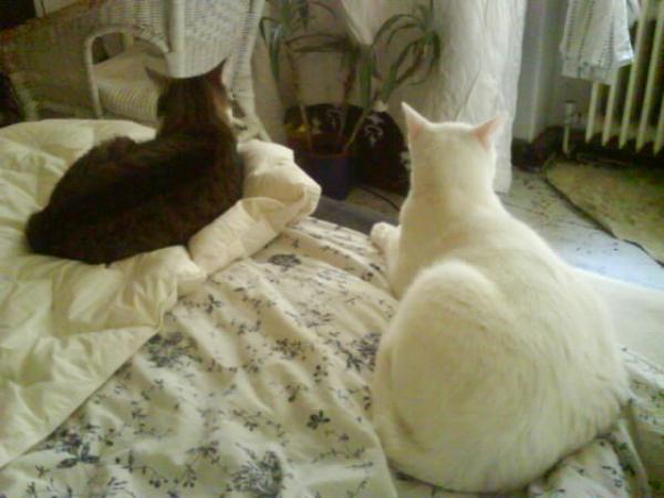 Naja, auch wenn man sich nicht kennt! Zusammen ausm Fenster gucken kann man schon mal.