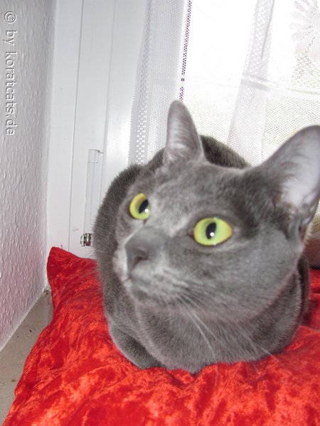 Natsuki Luna Ban Saraphi