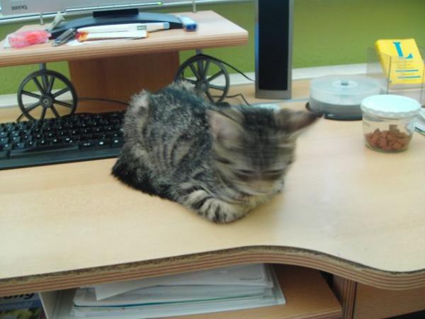 Ne, ich geh nich weg...