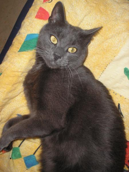 Nee nee nee ich wars nicht !