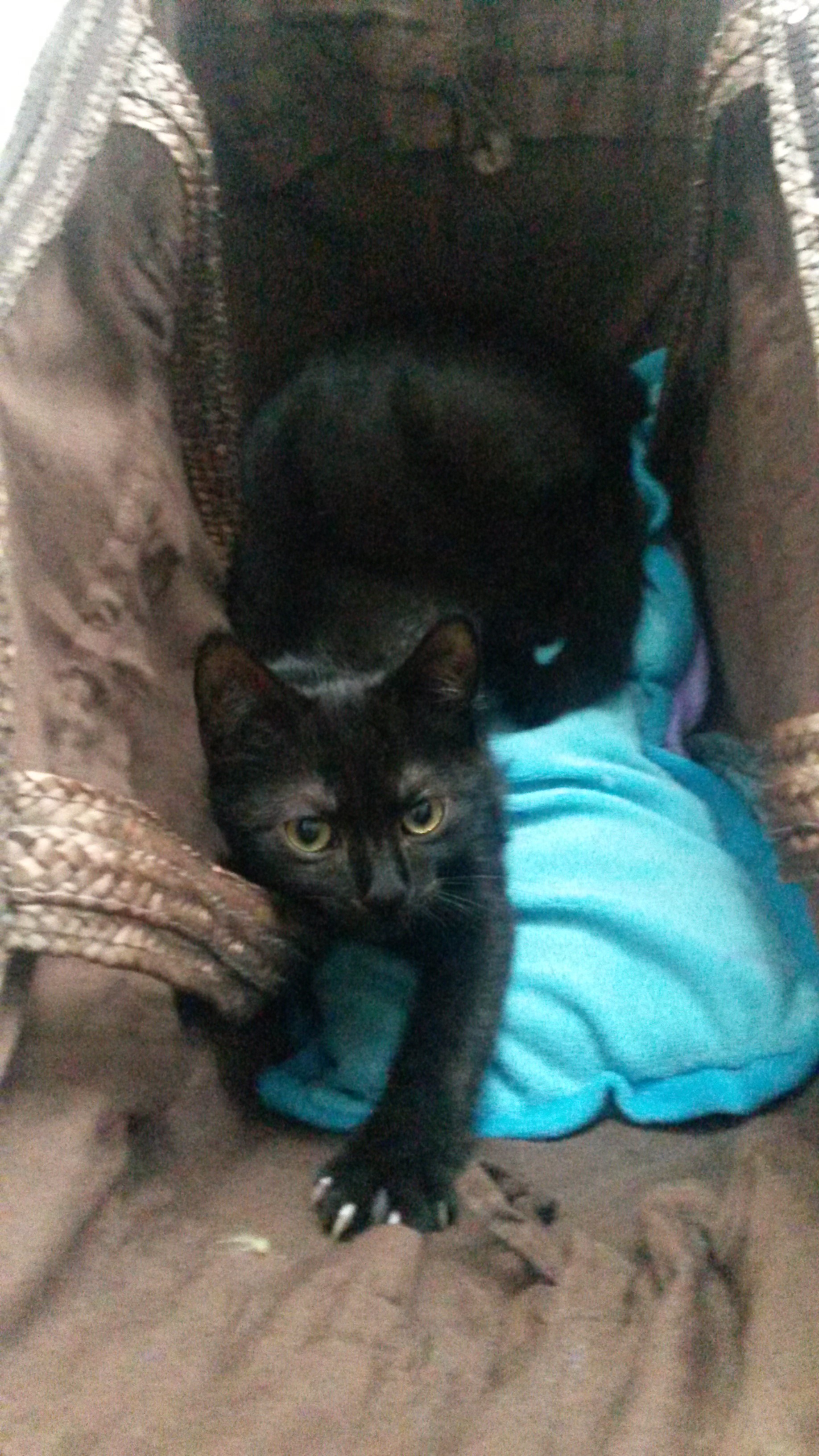 Neee, einkaufen iss heute nicht....