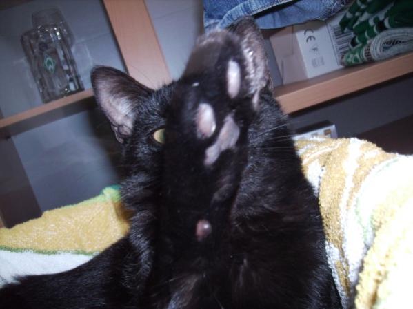 Nein bitte keine Bilder mehr :D