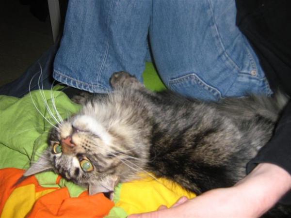 Nelly mit ihrem besten Freund :D