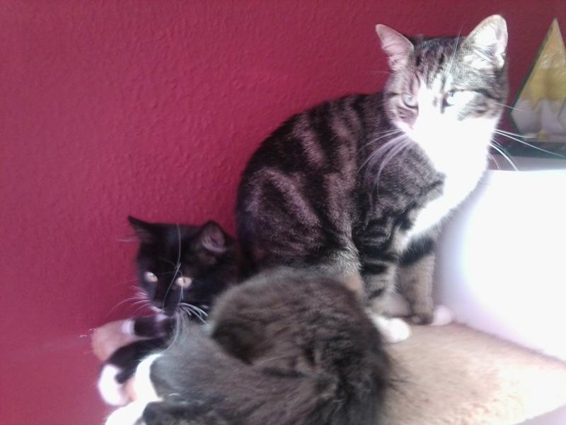 Nett miteinander obwohl nicht erwünschter neuer Mitbewohner