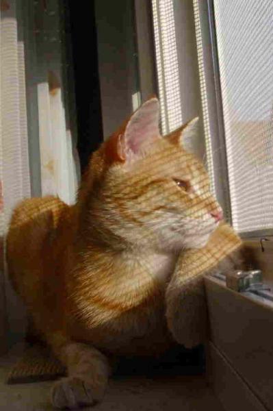 netz.Manta Manta oder Nein mein name ist nicht USCHI