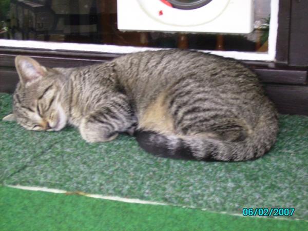 neue Fellpopo Bilder 002