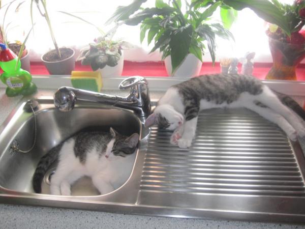 Neuester Lieblingsplatz