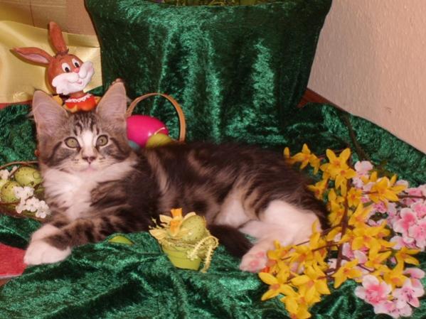 Niclas 2009 zu Ostern