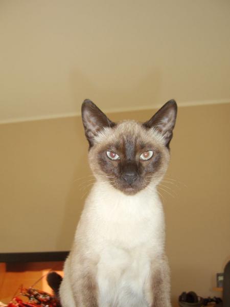 noch ein Bild und Du bist tot :-)