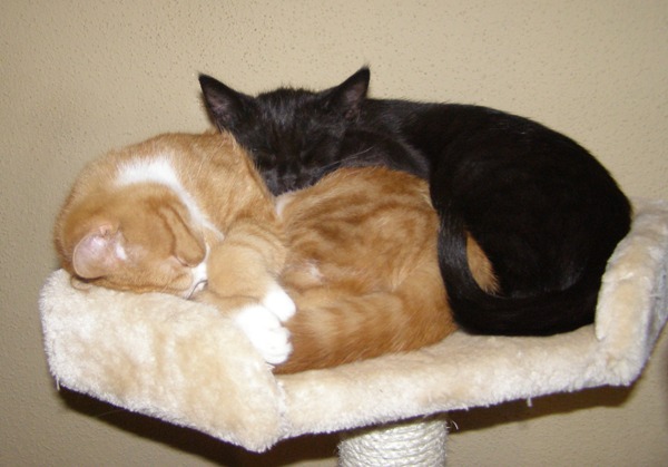 nochmal einzugstag...