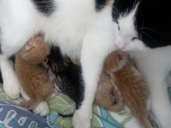 nochmals die Kleinen :D:D