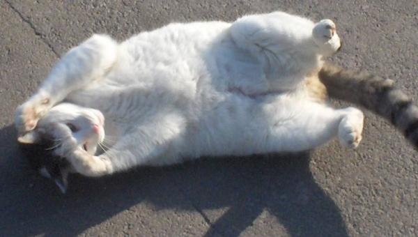 Nur noch ein wenig sonnen!