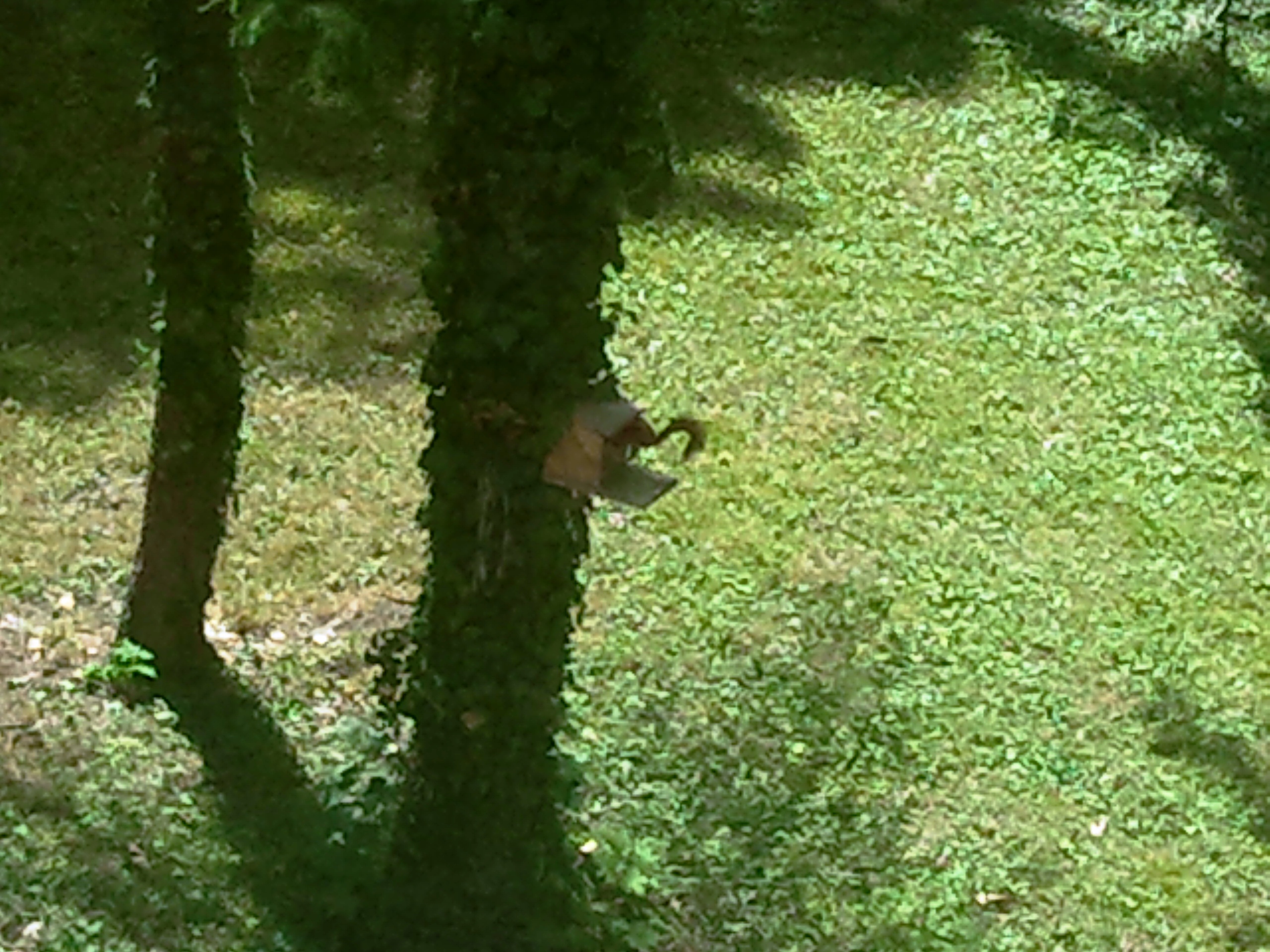 Ob was im Futterhäuschen ist?