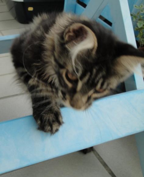 Oben drüber oder unten durch?