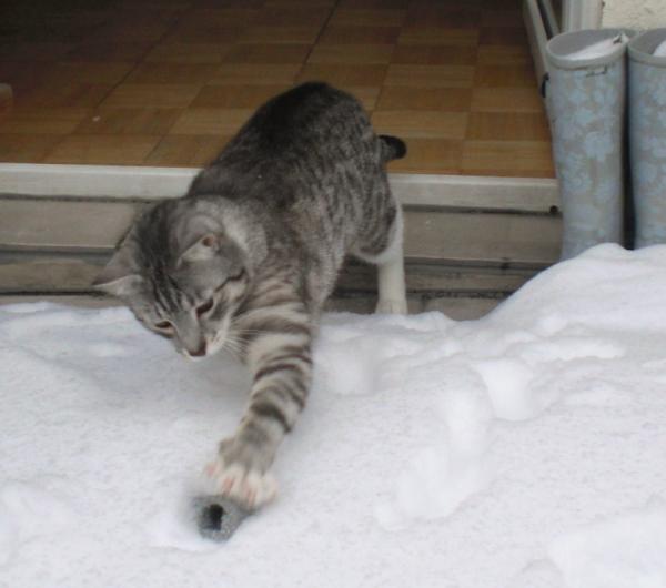 Oh ist mir kalt, bloss nicht in den Schnee kommen