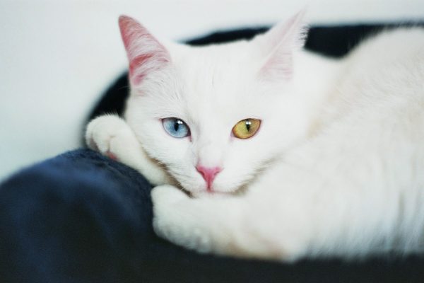 - ohne Worte - 


*schmelz*