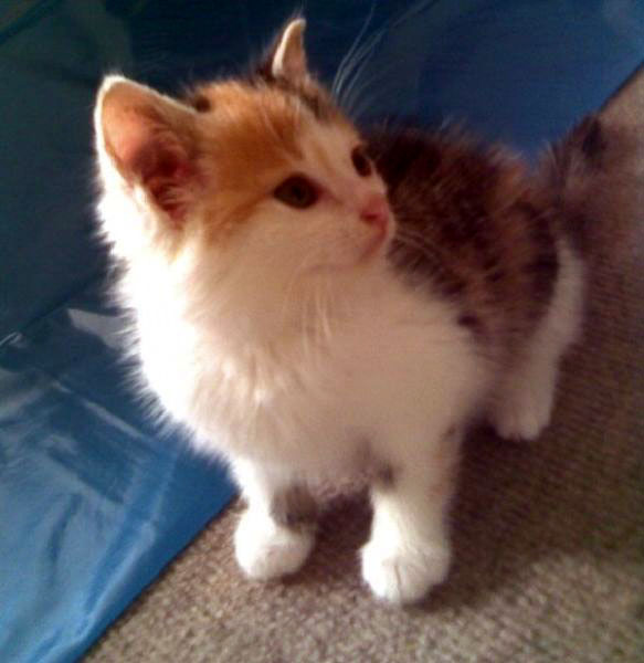 Oktober 2008 Das Internet-"Bewerbungsfoto" von Trinity: Liebe auf den ersten Blick ;-)